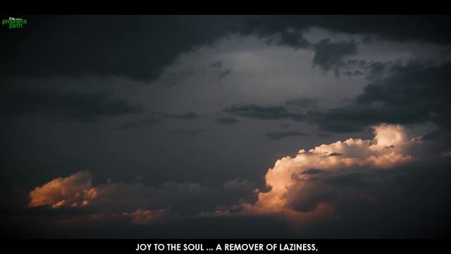 A TYPE OF SALAH MANY PEOPLE DON’T KNOW ABOUT смотреть онлайн