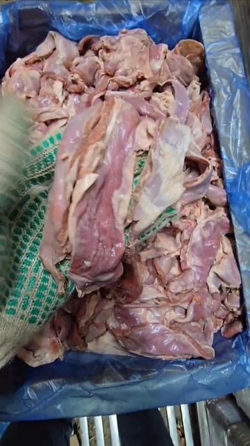 Диафрагма баранья