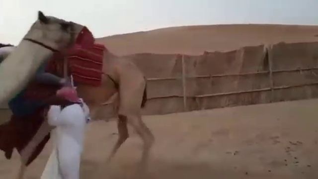 Это просто ржака. Подписывайтесь на мой конал и будете смотреть всё самое лучшее. смотреть онлайн