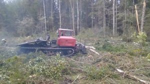 Трелёвочник в лесу.Погрузка леса Уралом.