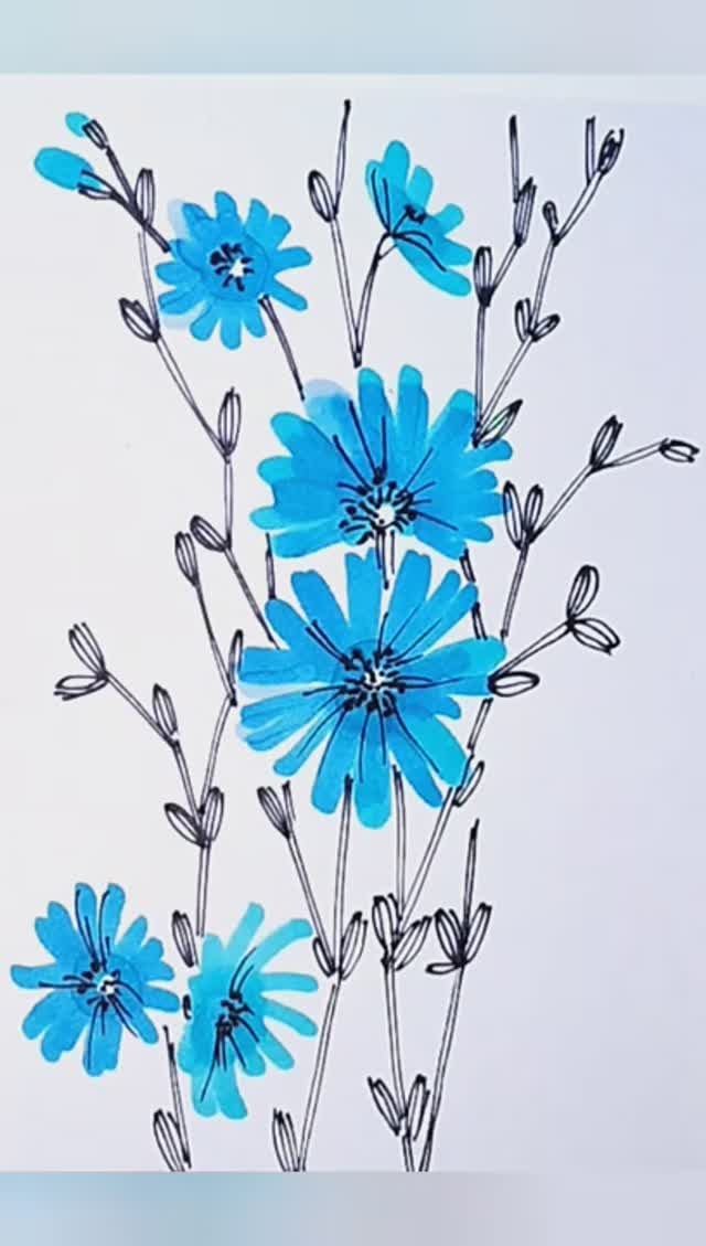 Рисуем цветок цикория маркерами. смотреть онлайн