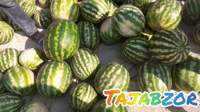 ЦЕНА АРБУЗ И ДЫНЯ В ТАДЖИКИСТАНЕ | НАРХИ ТАРБУЗ ВА ХАРБУЗ Н.АШТЕ | ТАРБУЗ ВА КОВУН НАРХЛАРИ 03.2021 смотреть онлайн