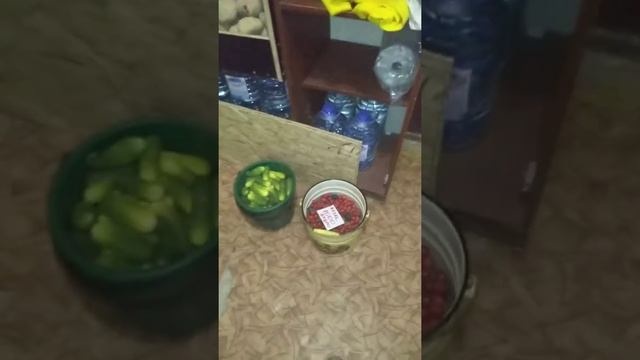 Наш бизнес овощи фрукты