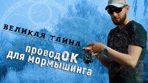 Проводки для мормышинга.