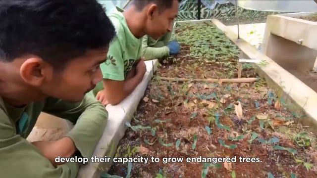 Developing native tree nurseries with local Jahai in Royal Belum State Park смотреть онлайн