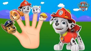 Finger family Paw patrol|Finger family song|Nursery Rhymes|Семья пальчиков| щенячий патруль