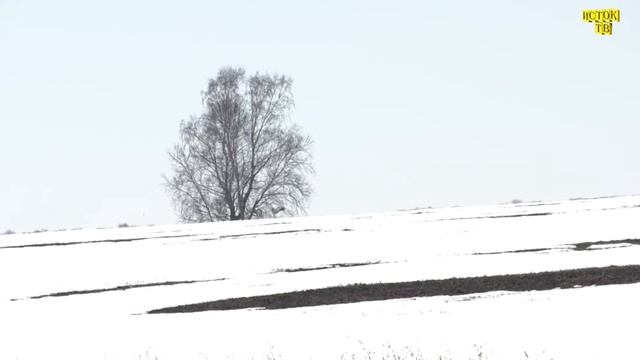 Журавли смотреть онлайн