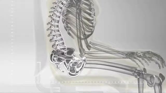 Обзор Эрготерапевтический специальный стул седло без спинки Bambach Австралия смотреть онлайн