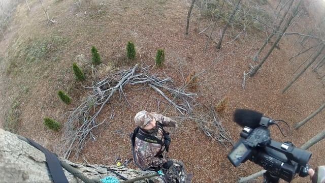 Timber Hawk Promo смотреть онлайн