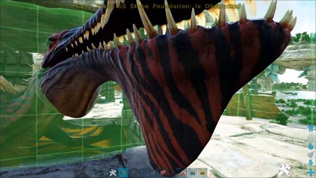 TROPEOGNATHUS 'INSTA' TAME TRICK смотреть онлайн