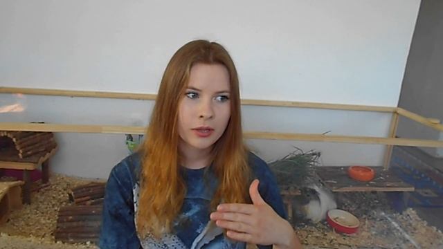 6. Péče o morče: Stříhání drápků смотреть онлайн