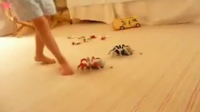 Tarantula: The Movie! смотреть онлайн