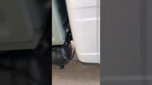 Пропала тяга Газель | Нашел проблему | Обзор на одну из проблем