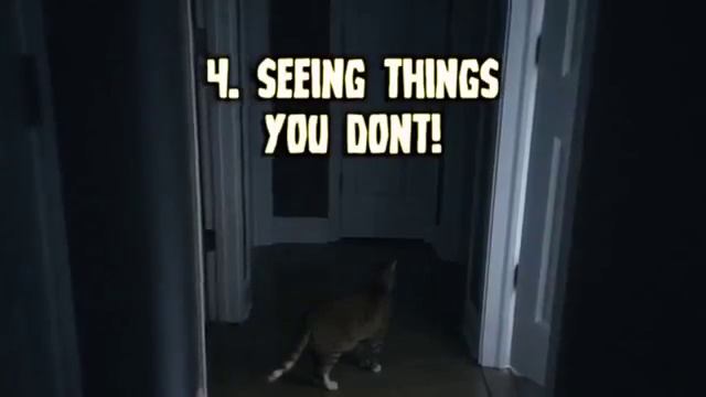 8 Ways Cats Scare You Out! 8 manières chats panic you смотреть онлайн