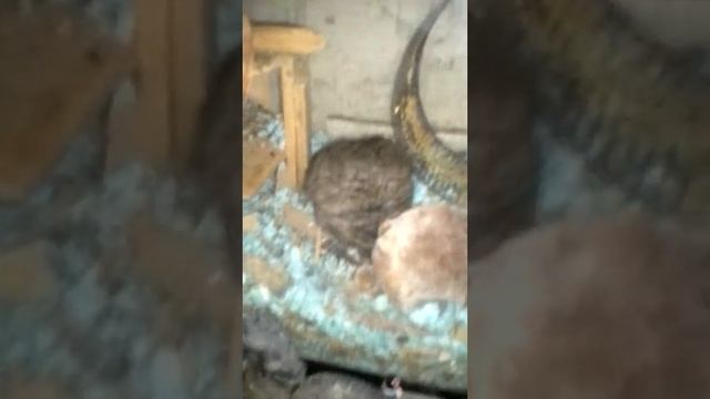 Fuck that bitch смотреть онлайн
