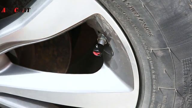 Противоугонные колпачки для вентилей шин в форме среднего пальца. смотреть онлайн