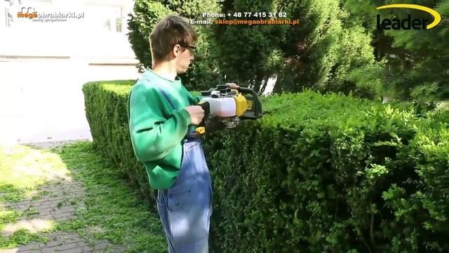 LEADER TMHT260B Sekator spalinowy do żywopłotu krzewów смотреть онлайн