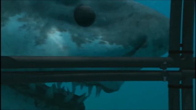 TRILOGY OF LIFE - Sea Monsters - "Megalodon" (Otodus megalodon) смотреть онлайн