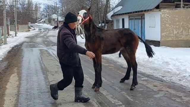 Сатылды. смотреть онлайн