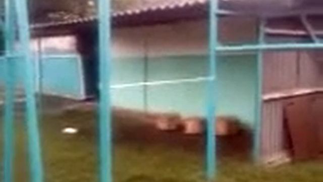 Полный пипец смотреть онлайн