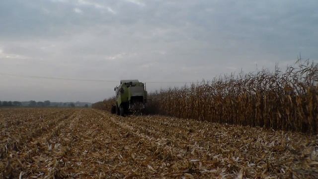 ✭Kukurydza Na Ziarno 2014✭Claas Tucano 320✭