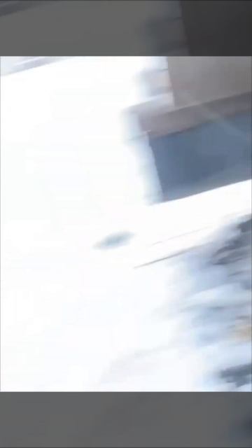 Щенки с мамой замерзают😰 Нужна ваша помощь в распространии видео.  Кемеровская область. Новокузнецк