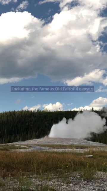 Yellowstone Park Unveiled: 3 Astounding Revelations! #shorts #amazingfacts #funfacts #usa смотреть онлайн