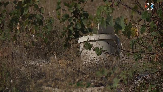 С начала года в Севастополе ликвидировали 195 незаконных свалок смотреть онлайн