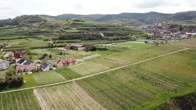 Blütenzauber am Kaiserstuhl, 2018 04 смотреть онлайн