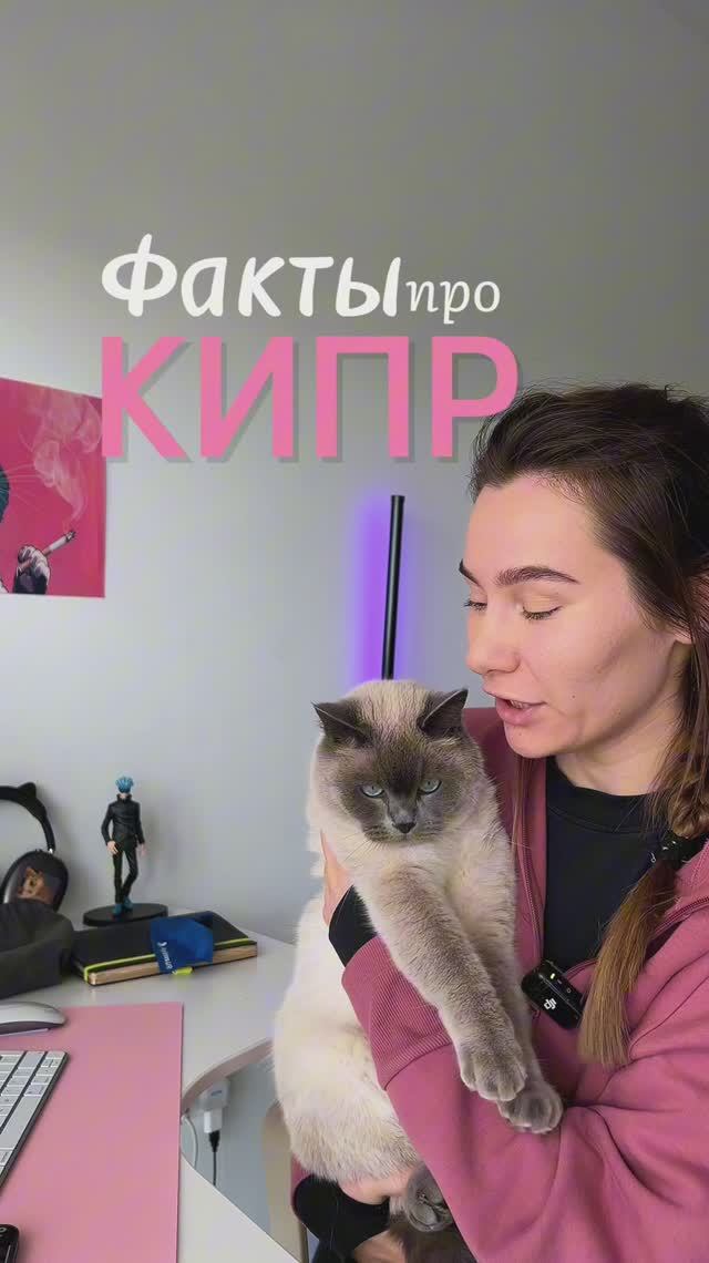 Кипр: официальная резиденция котов 🏝️ смотреть онлайн