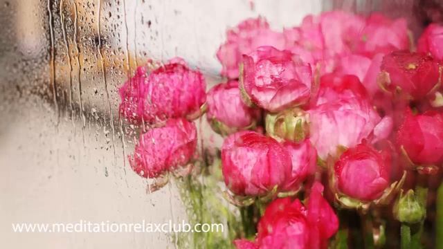 Rain Sounds for Sleeping: Rain Drops & Thunderstorm Sound Effects to Sleep смотреть онлайн