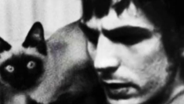 Syd Barrett - "Effervescing Elephant" смотреть онлайн