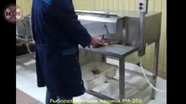 Машина для разделки рыбы РМ-350