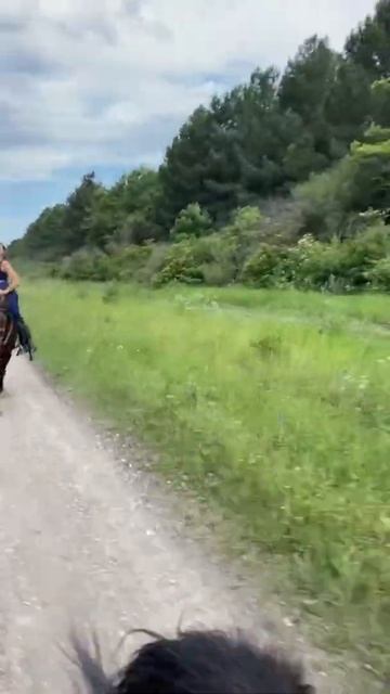 От топота копыт пыль по полю летит☺️ Джигитовка. Лошади прекрасны смотреть онлайн