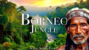 ОСТРОВ БОРНЕО!!! Ужасы Первобытных джунглей!!!