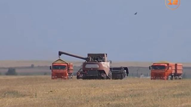 Уборочная страда на полях Марий Эл смотреть онлайн