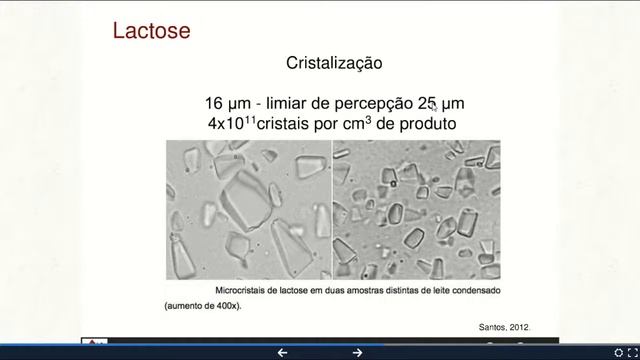 Constituintes do leite e suas propriedades - Parte I: Água, Sais e Minerais смотреть онлайн