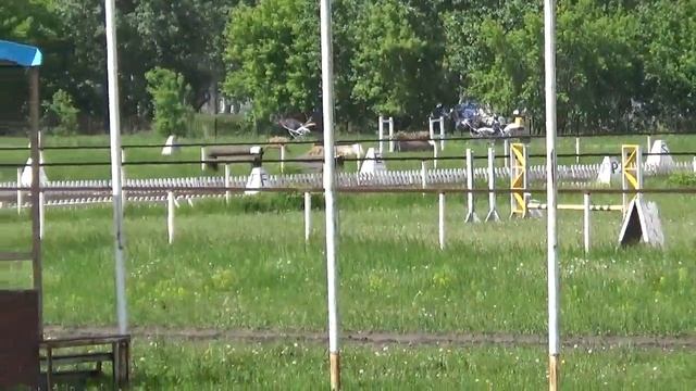6 заезд Приз Отклика 1 гит, 05 06 2021 Новосибирский ипподром