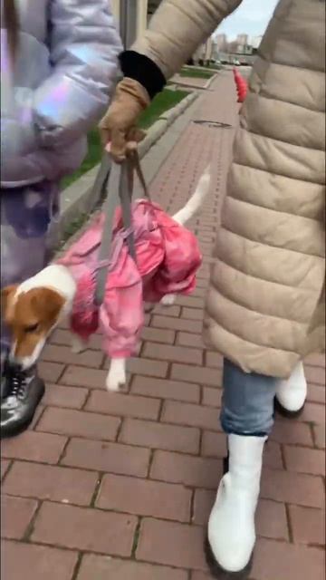 Как тебе Лёлик? #shorts смотреть онлайн