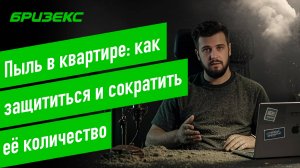 Пыль в квартире: как защититься и сократить её количество