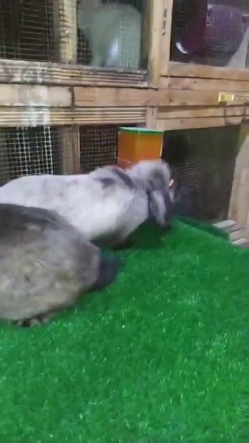 11 апреля 2023 г.