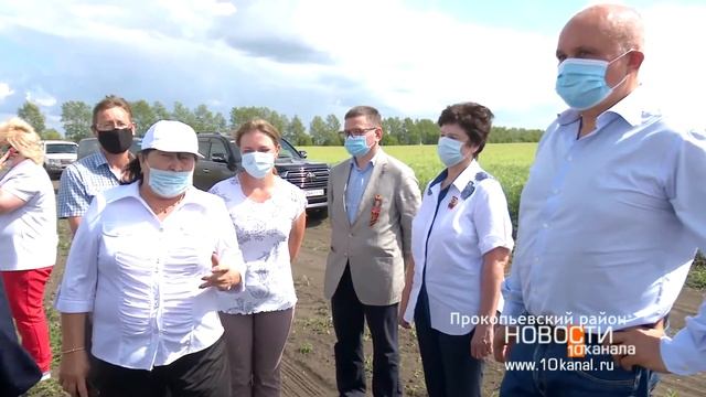 Уборочная кампания набирает обороты смотреть онлайн