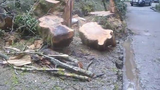 Старожилов деревянная скульптура резьба по дереву смотреть онлайн