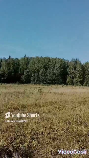 #тихаяохота (1)