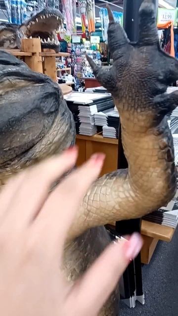 ♡ High Five with an Aligator Statue in America~! ♡ #gator #gators #aligators #aligator #highfive смотреть онлайн