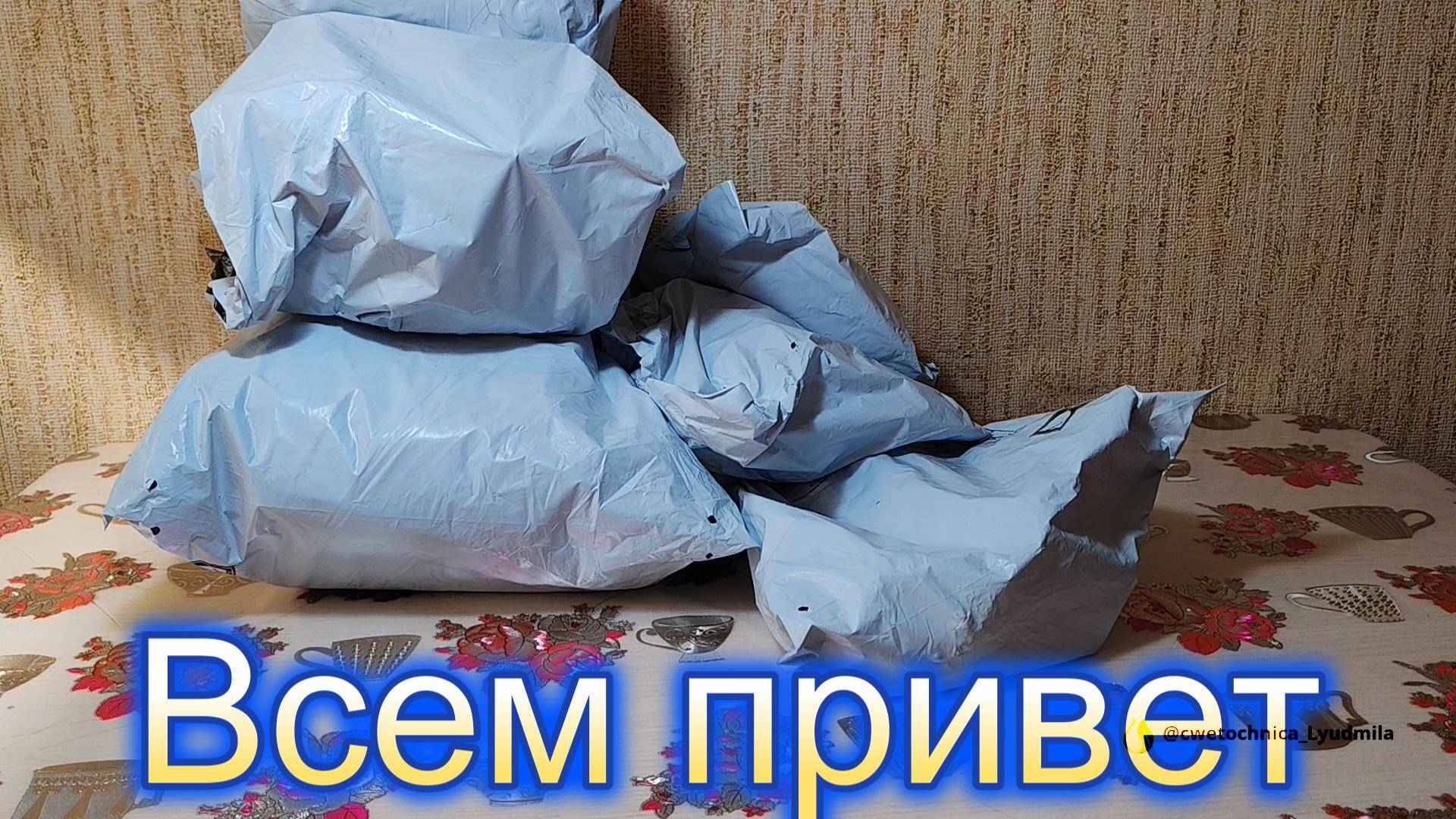 Огромная распаковка посылок с сайта Temu