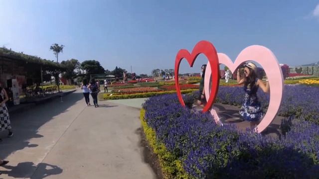 Chung She Flower Garden // Taichung Taiwan смотреть онлайн