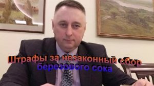 Штрафы за незаконный сбор березового сока