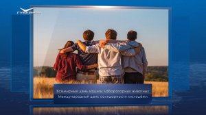 Международный день солидарности молодежи. Календарь Губернии от 24 апреля