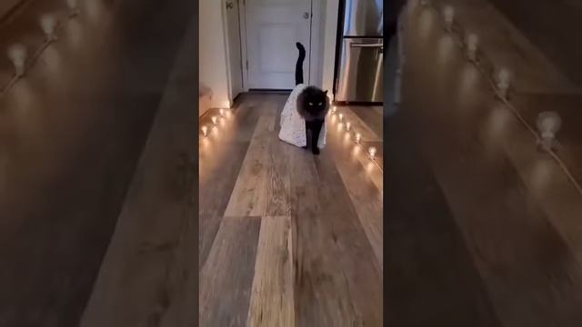 ЗНАКИ ЗОДИАКА В ОТПУСКЕ☝️ смотреть онлайн